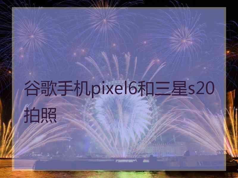 谷歌手机pixel6和三星s20拍照