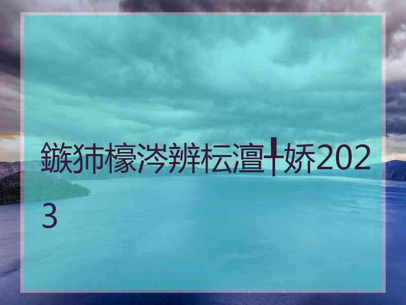 鏃犻檺涔辨枟澶╀娇2023