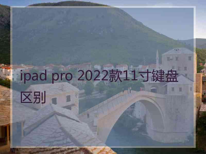 ipad pro 2022款11寸键盘区别