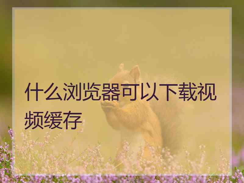 什么浏览器可以下载视频缓存