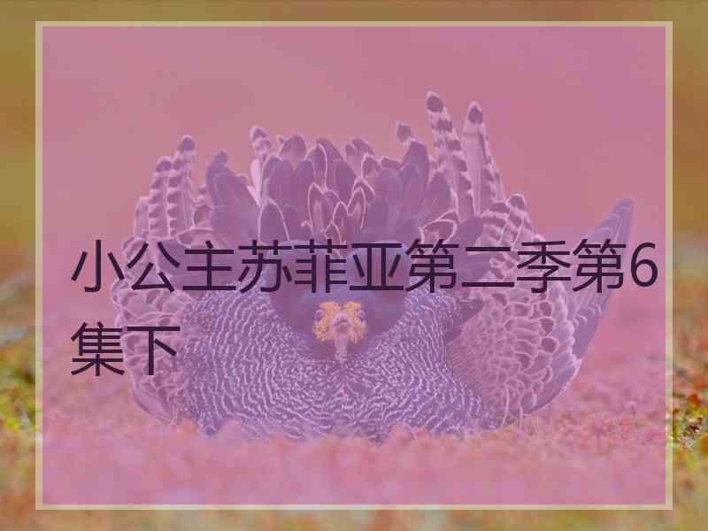 小公主苏菲亚第二季第6集下