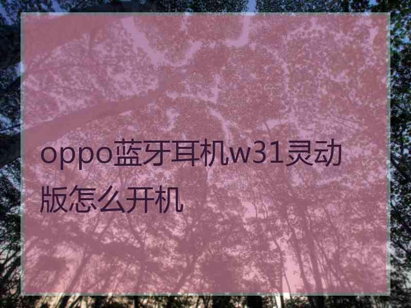 oppo蓝牙耳机w31灵动版怎么开机