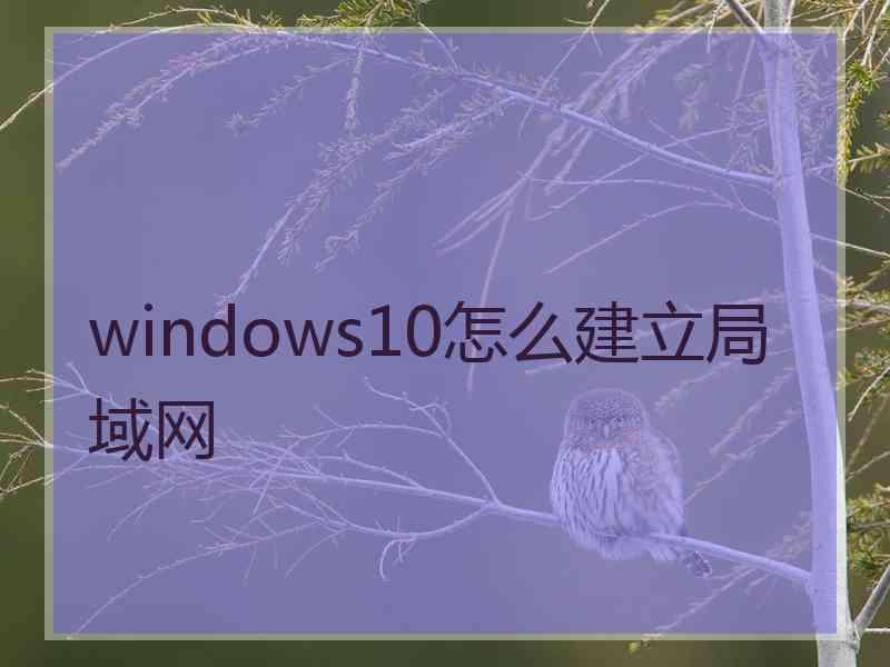 windows10怎么建立局域网