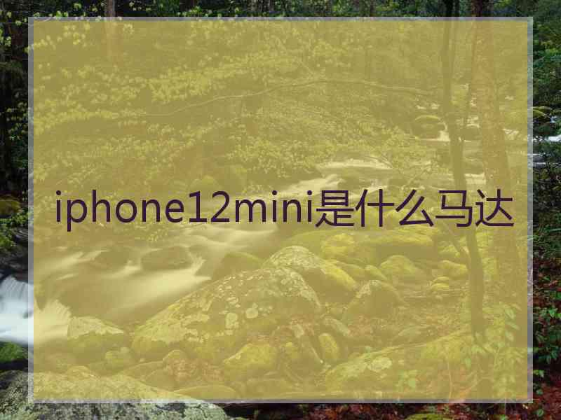 iphone12mini是什么马达