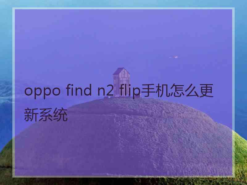 oppo find n2 flip手机怎么更新系统