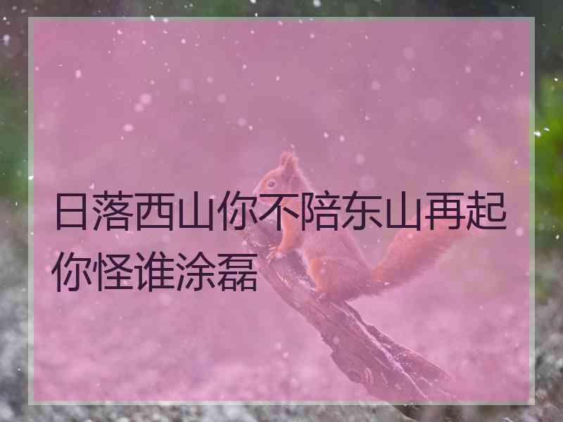 日落西山你不陪东山再起你怪谁涂磊