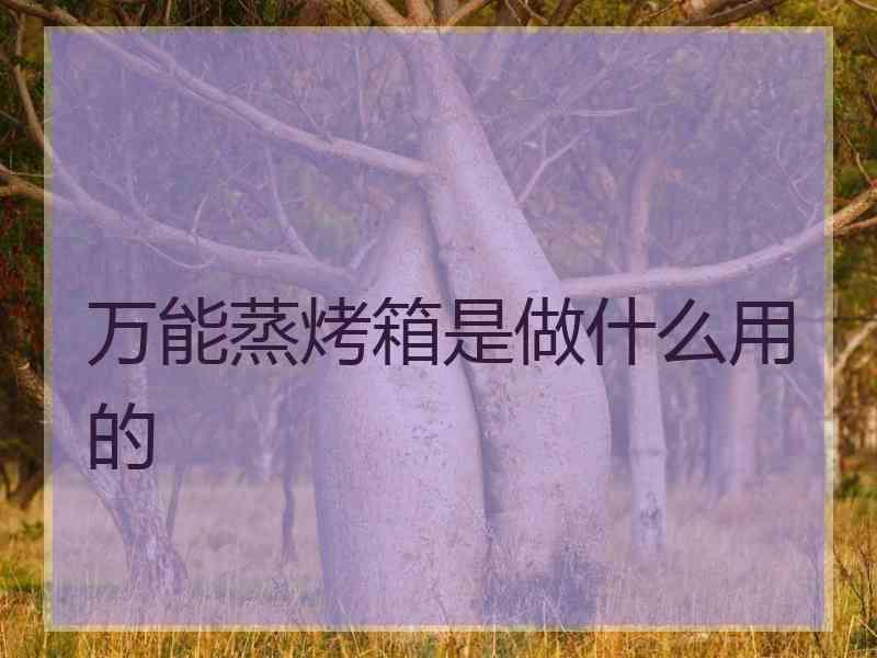 万能蒸烤箱是做什么用的