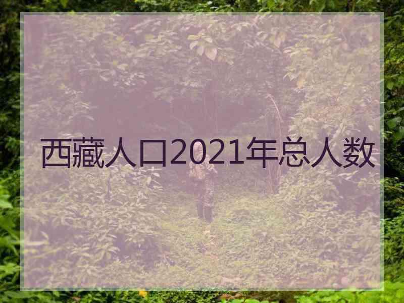 西藏人口2021年总人数