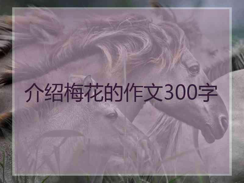 介绍梅花的作文300字