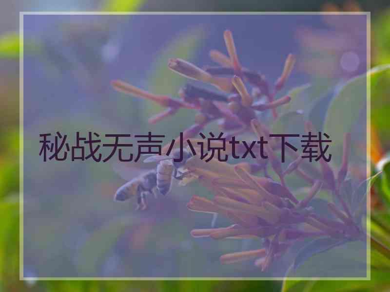 秘战无声小说txt下载