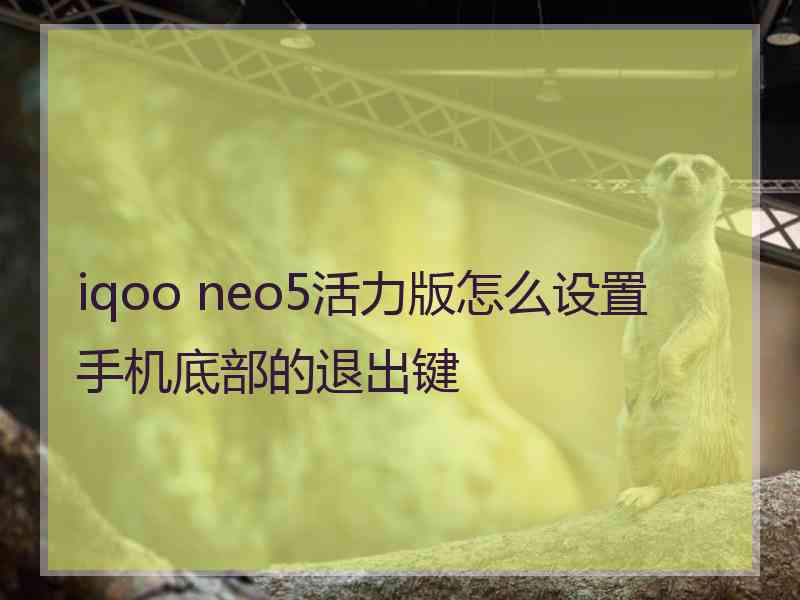 iqoo neo5活力版怎么设置手机底部的退出键