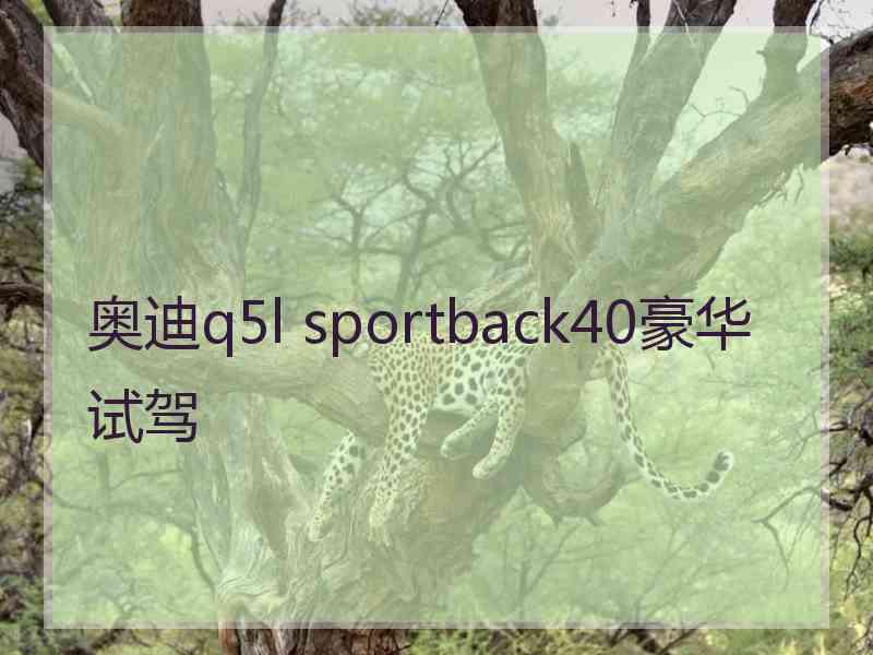 奥迪q5l sportback40豪华试驾