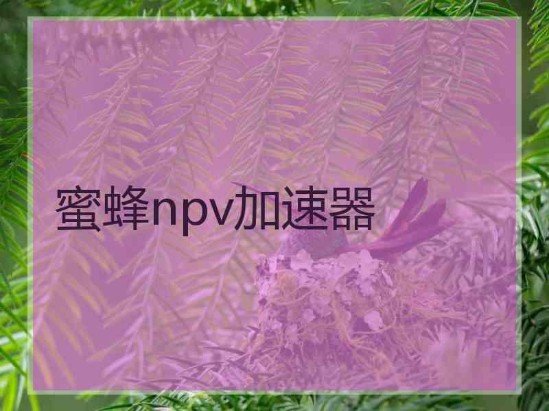 蜜蜂npv加速器