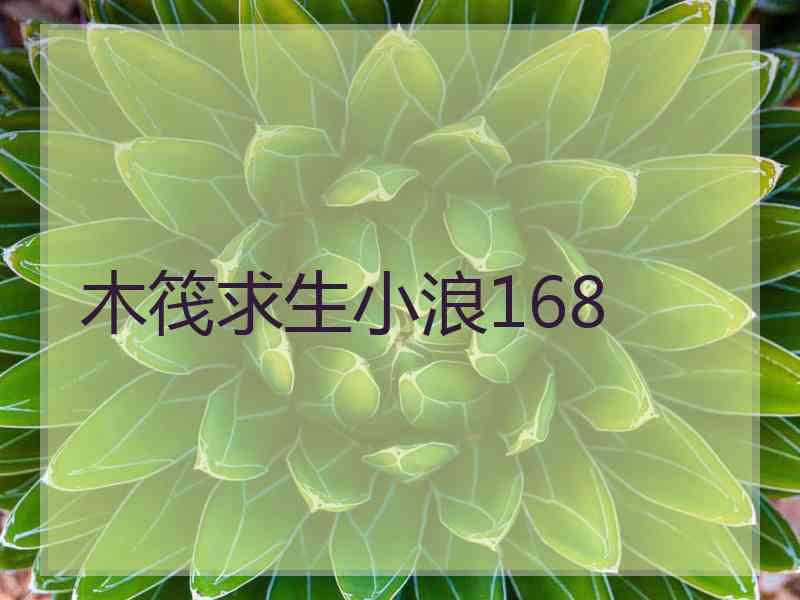 木筏求生小浪168