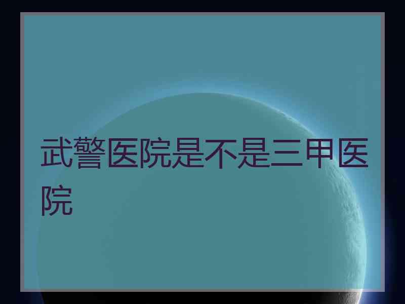 武警医院是不是三甲医院