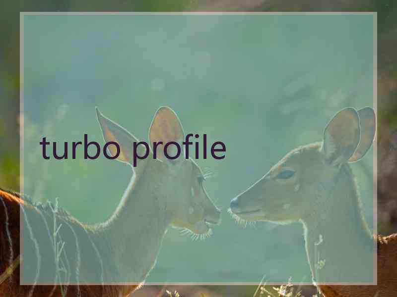 turbo profile