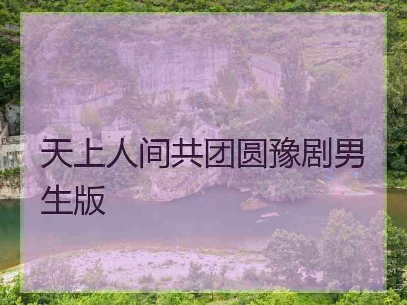 天上人间共团圆豫剧男生版