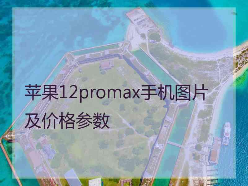 苹果12promax手机图片及价格参数