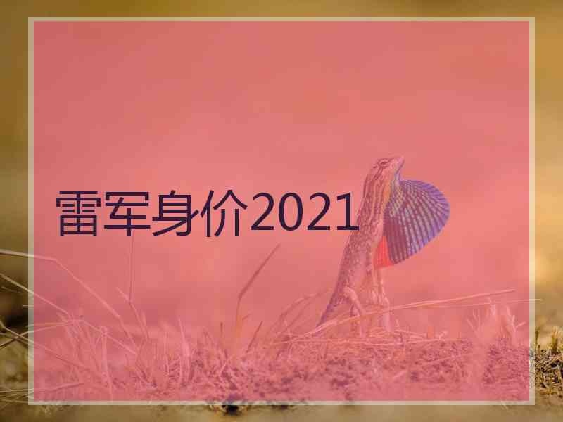 雷军身价2021