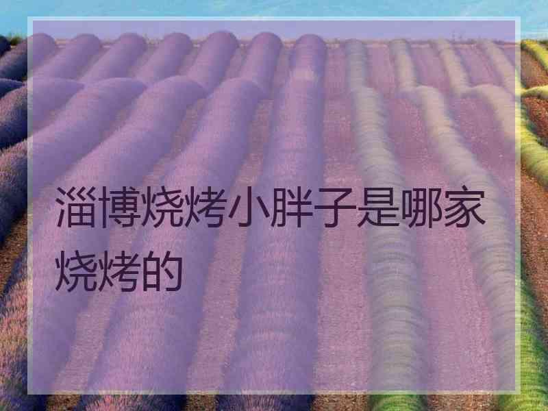 淄博烧烤小胖子是哪家烧烤的