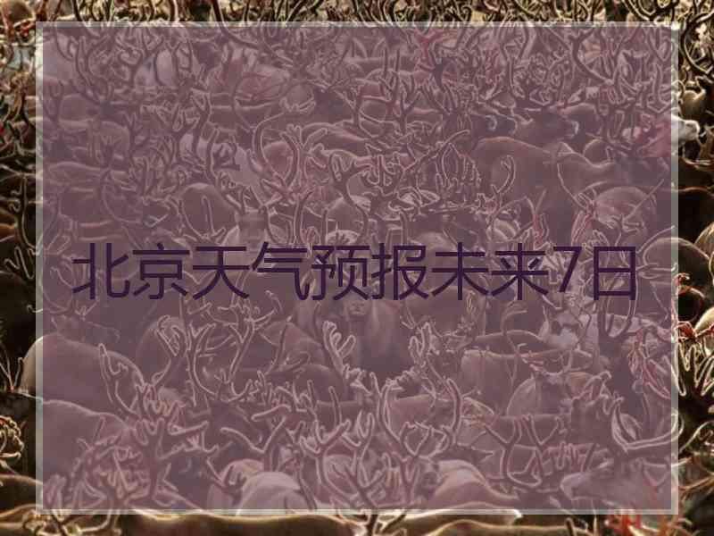 北京天气预报未来7日