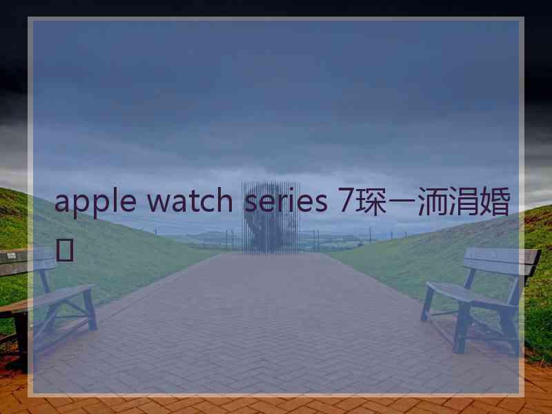 apple watch series 7琛ㄧ洏涓婚