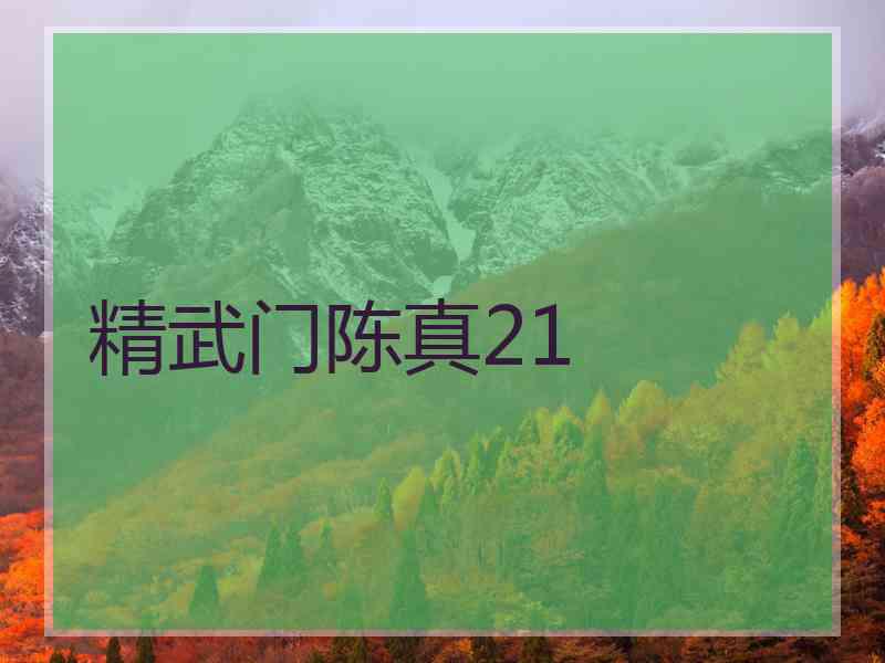 精武门陈真21