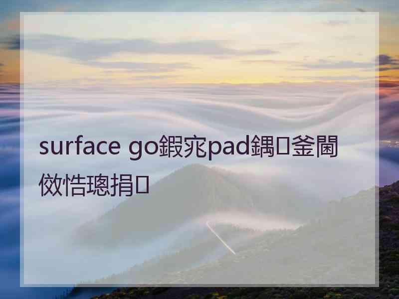 surface go鍜宨pad鍝釜閫傚悎璁捐