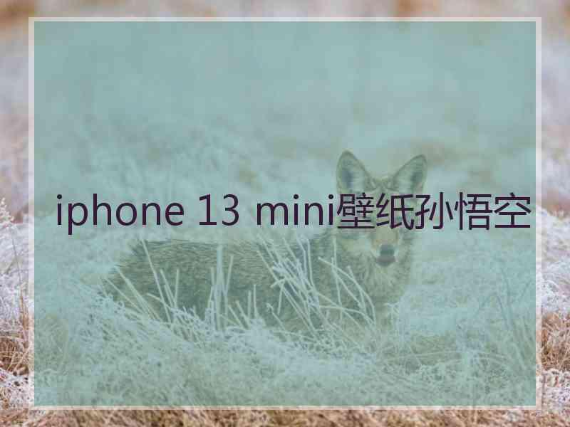 iphone 13 mini壁纸孙悟空