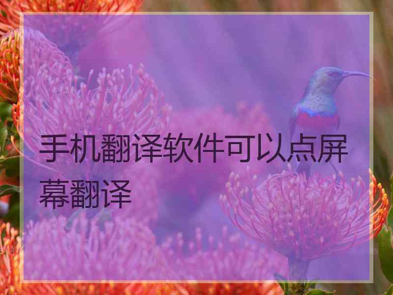 手机翻译软件可以点屏幕翻译