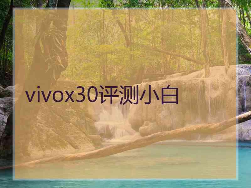 vivox30评测小白