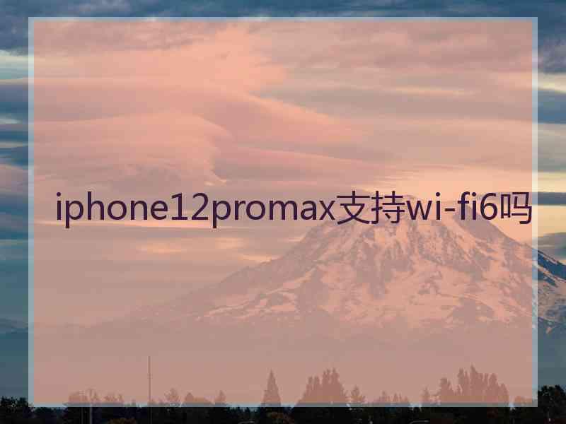 iphone12promax支持wi-fi6吗