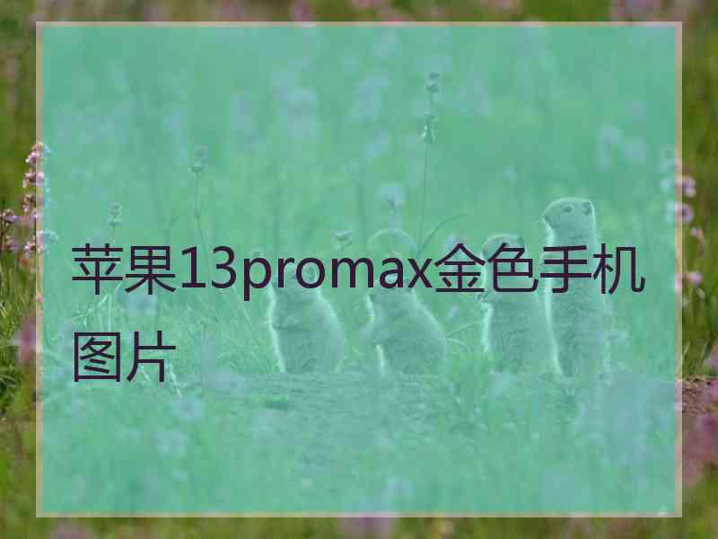 苹果13promax金色手机图片