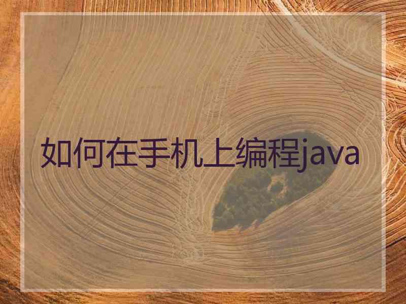 如何在手机上编程java