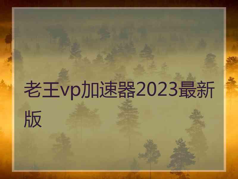 老王vp加速器2023最新版