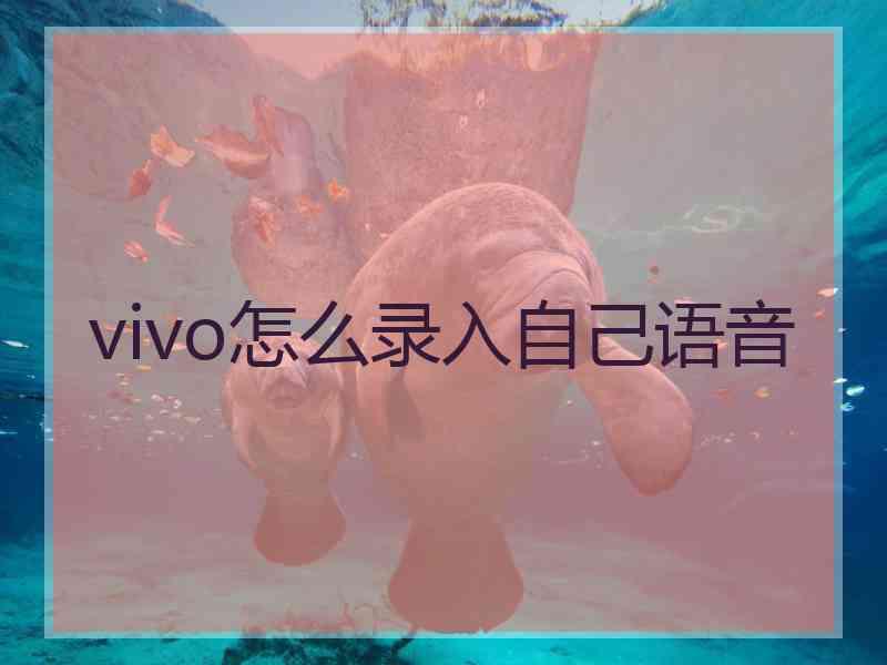 vivo怎么录入自己语音