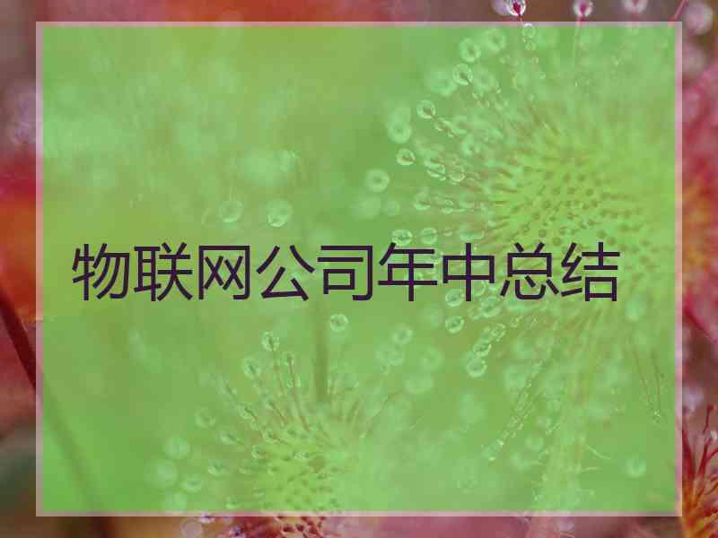 物联网公司年中总结