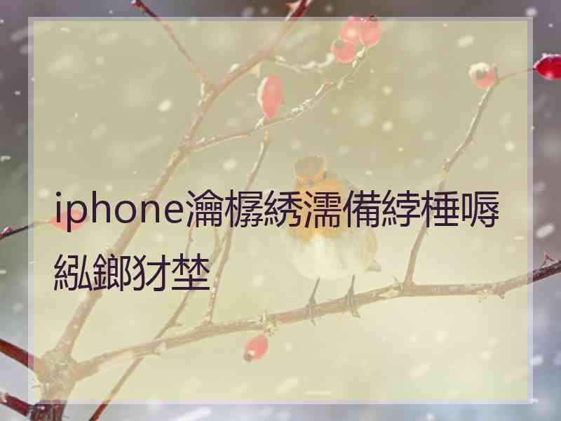 iphone瀹樼綉濡備綍棰嗕紭鎯犲埜