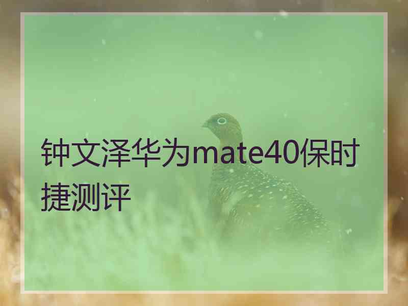 钟文泽华为mate40保时捷测评