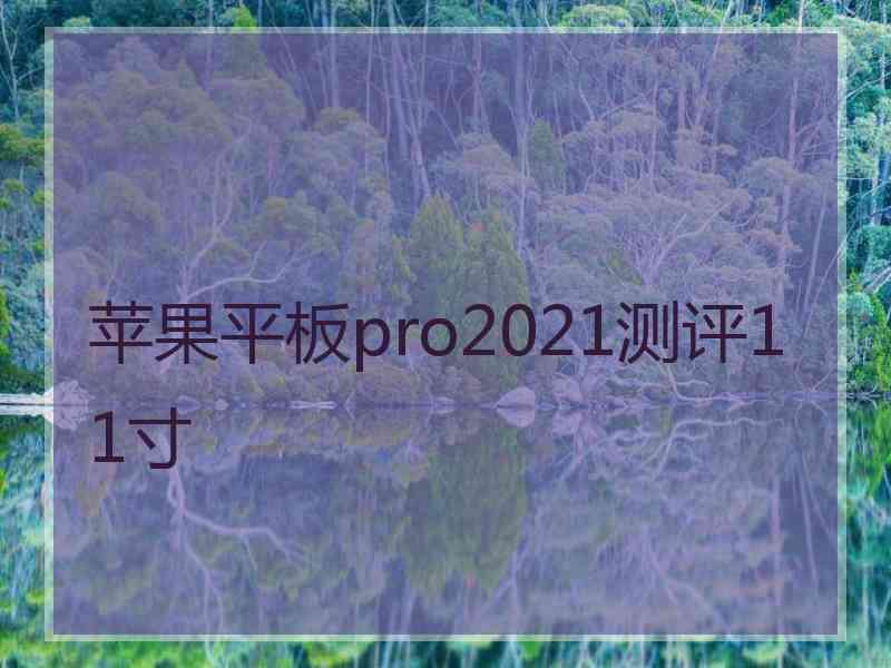 苹果平板pro2021测评11寸