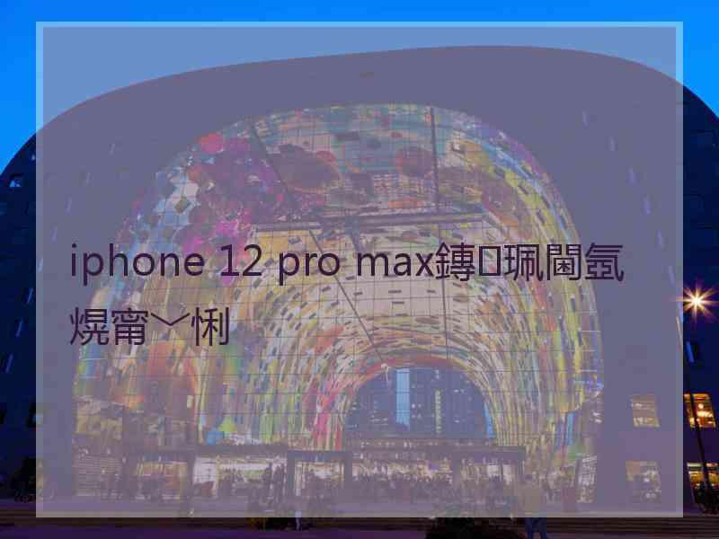 iphone 12 pro max鏄珮閫氬熀甯﹀悧