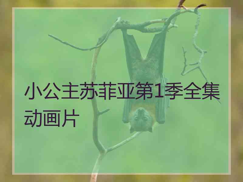 小公主苏菲亚第1季全集动画片