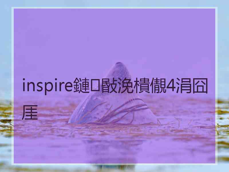 inspire鏈敯浼樻儬4涓囧厓