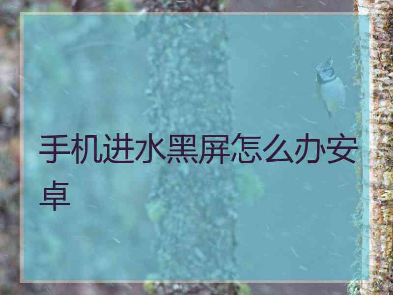 手机进水黑屏怎么办安卓