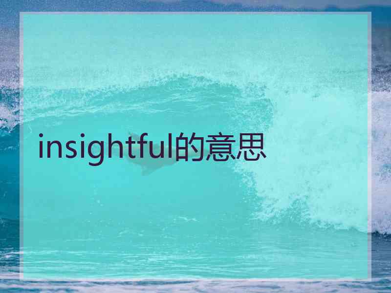 insightful的意思