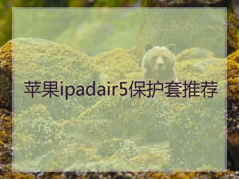 苹果ipadair5保护套推荐