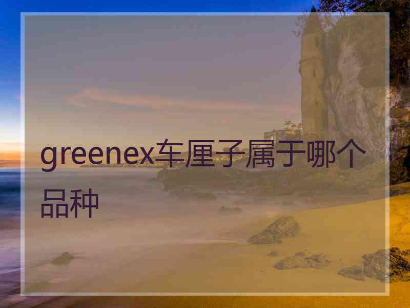 greenex车厘子属于哪个品种