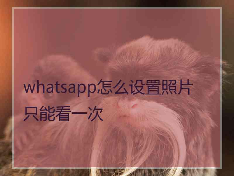 whatsapp怎么设置照片只能看一次