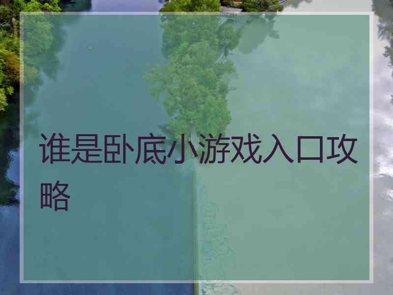 谁是卧底小游戏入口攻略