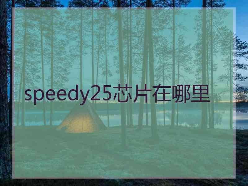 speedy25芯片在哪里